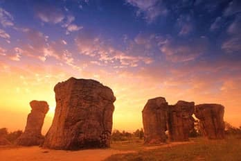 กรุงเทพมหานคร-ชัยภูมิ